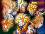 dbz.jpg