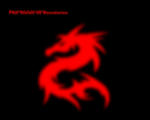 dragons.jpg